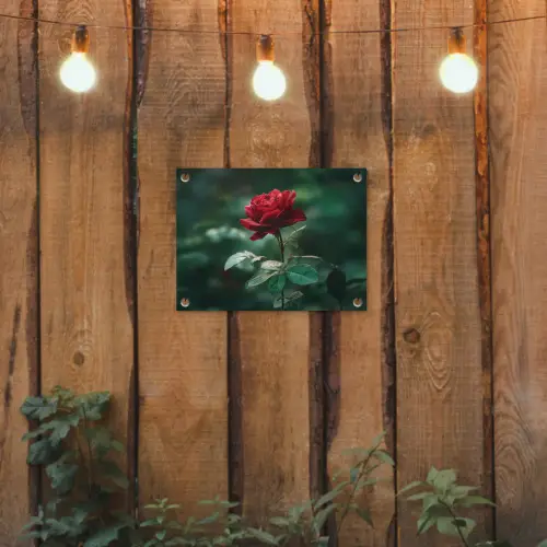 Roos - Bladeren - Dieprood tuinposter los doek klein -sfeer1
