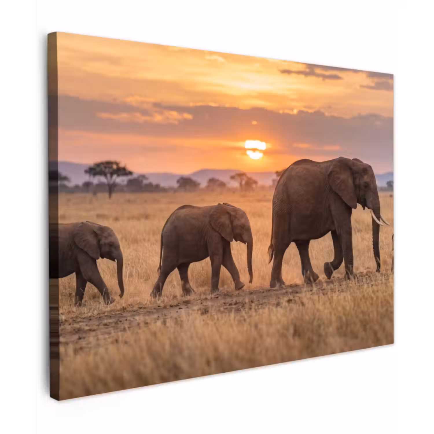 Canvas Print - Elephants - Savannah - Sunset - Africa - Warm