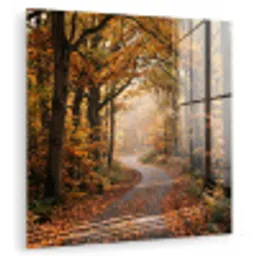 Bospad - Herfstbos - Bladeren - Oranje - Nostalgisch plexiglas 5mm klein -zzzproduct_nieuw