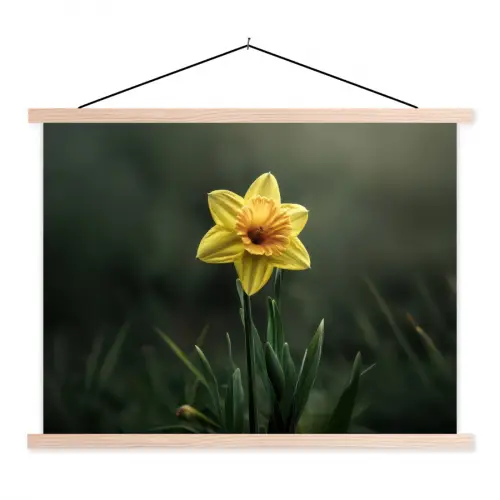 Bloem - Narcis - Gras - Geel textielposter latten blank klein -3d