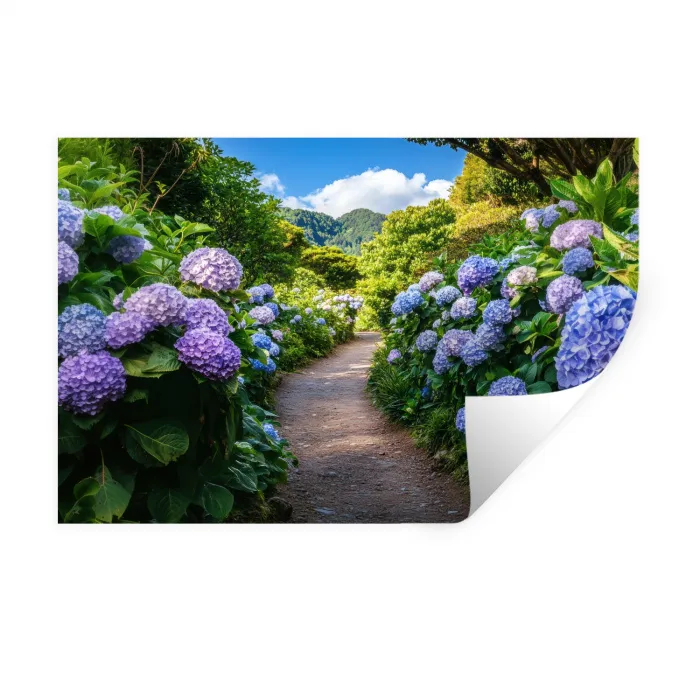 Hortsensia - Pad - Bloemen Muursticker klein -3d