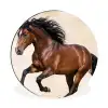 Paard - Galop - Energie Wandcirkel aluminium klein -3d