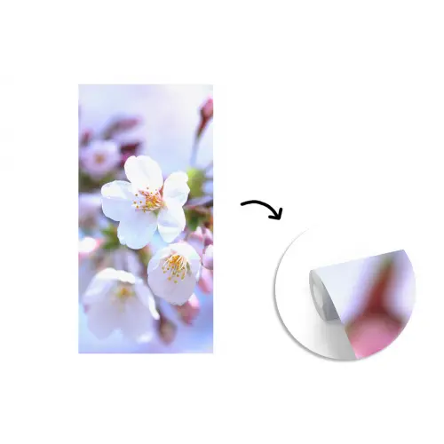 Bloemen - Sakura - Tak - Bloesem takken fotobehang vinyl groot -3d