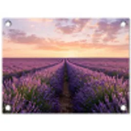 Landschap - Lavendelveld - Paars tuinposter los doek klein -3d