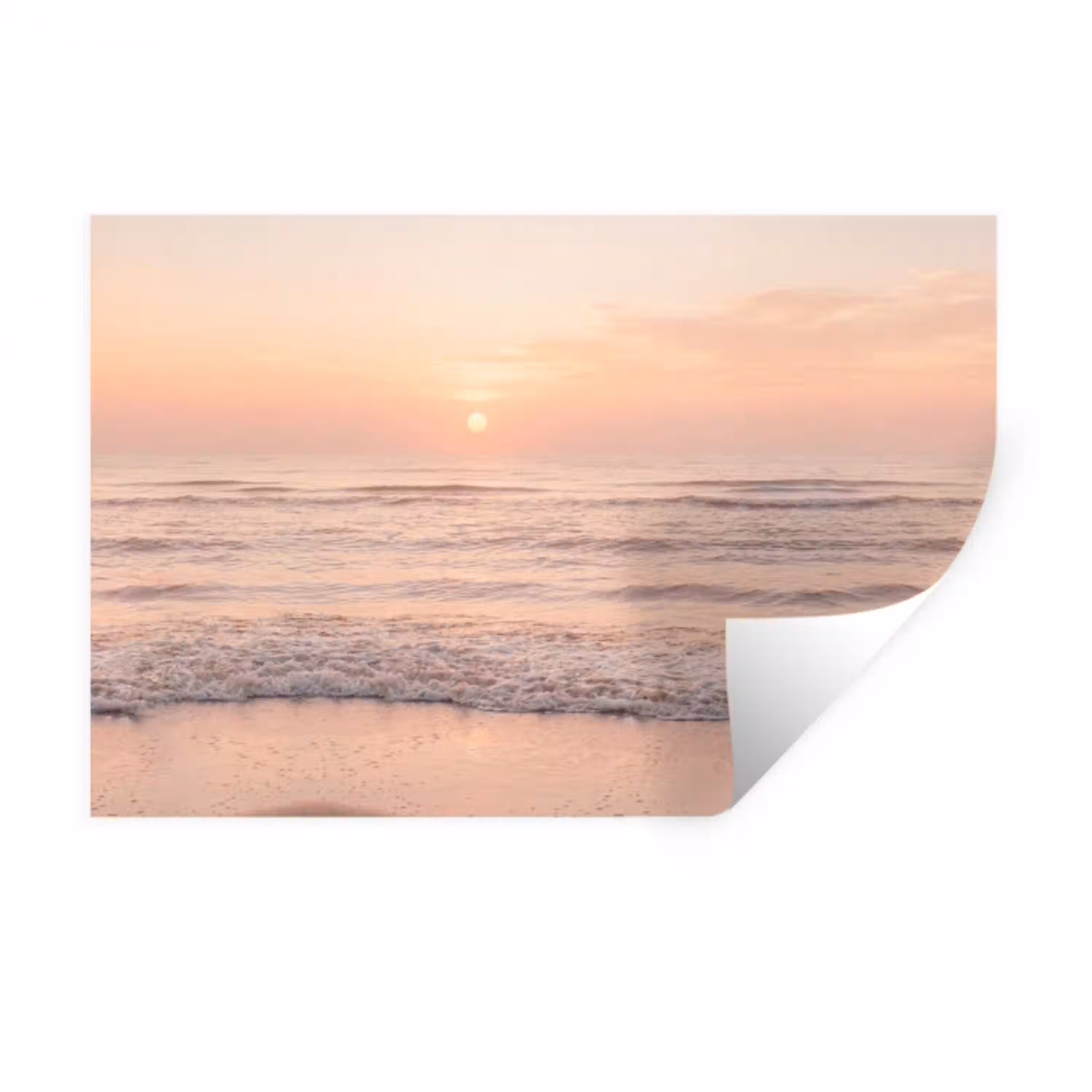 Zon - Strand - Roze Muursticker klein -3d