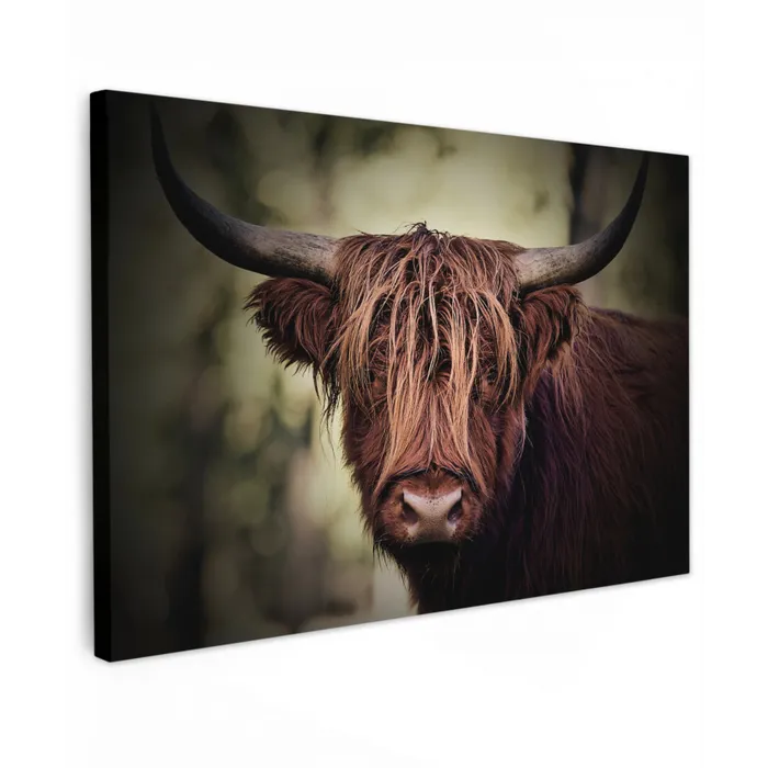 Schotse hooglander - Licht - Portret - Natuur Tuinposter op houten frame 2 cm dik klein -3d