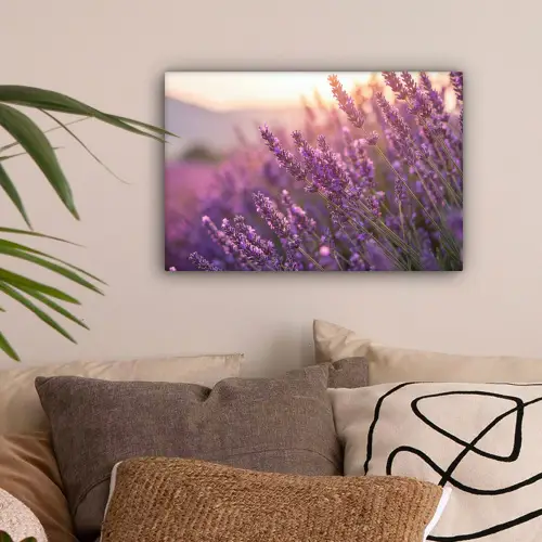 Lavendel - Paars - Zonlicht canvas 2cm klein -sfeer1