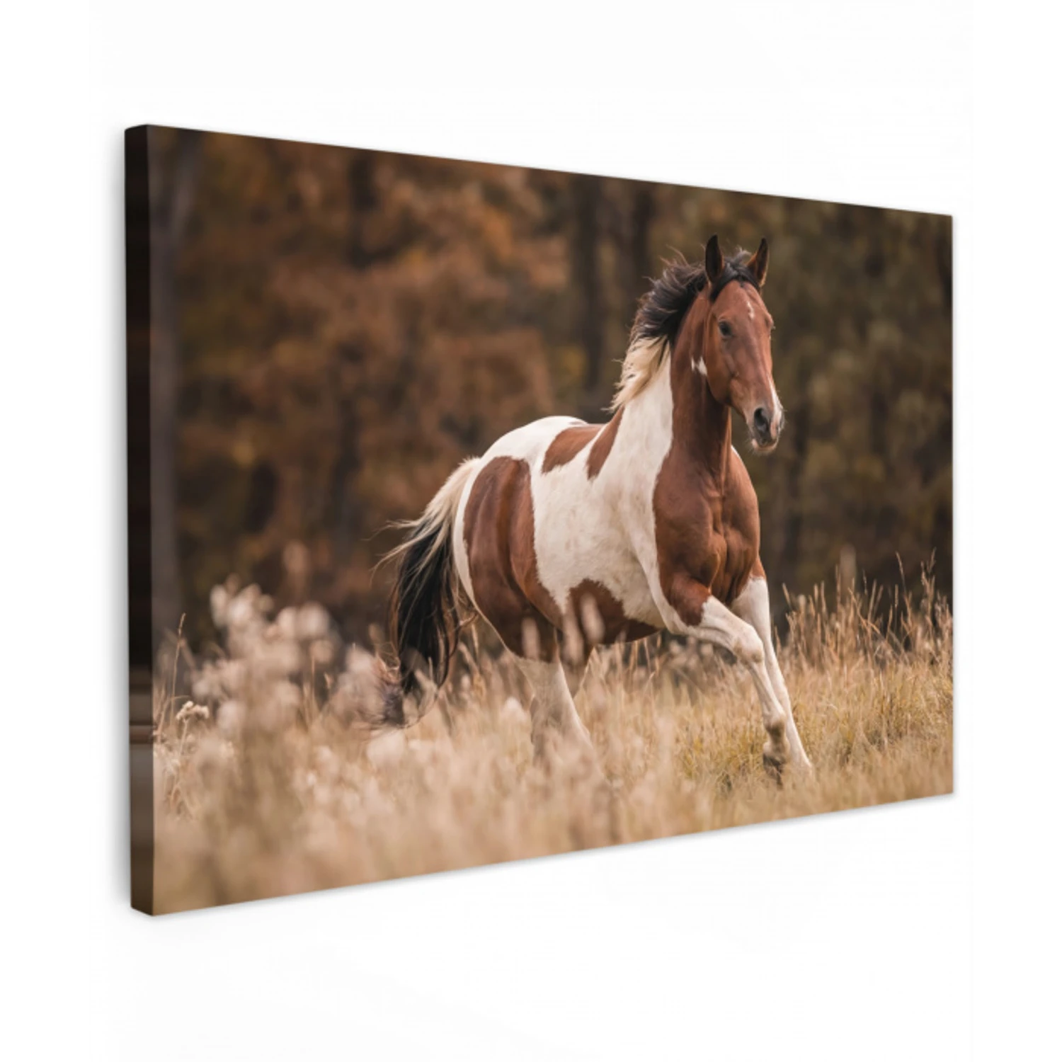 Paard - Bruin - Gras canvas 2cm klein -z3d
