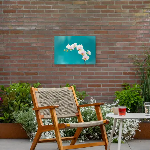 Orchidee - Bloemen - Plant - Wit - Paars Tuinposter op houten frame 2 cm dik klein -sfeer3
