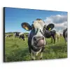 Koe - Tong - Weide Textielframe zwart klein -3d