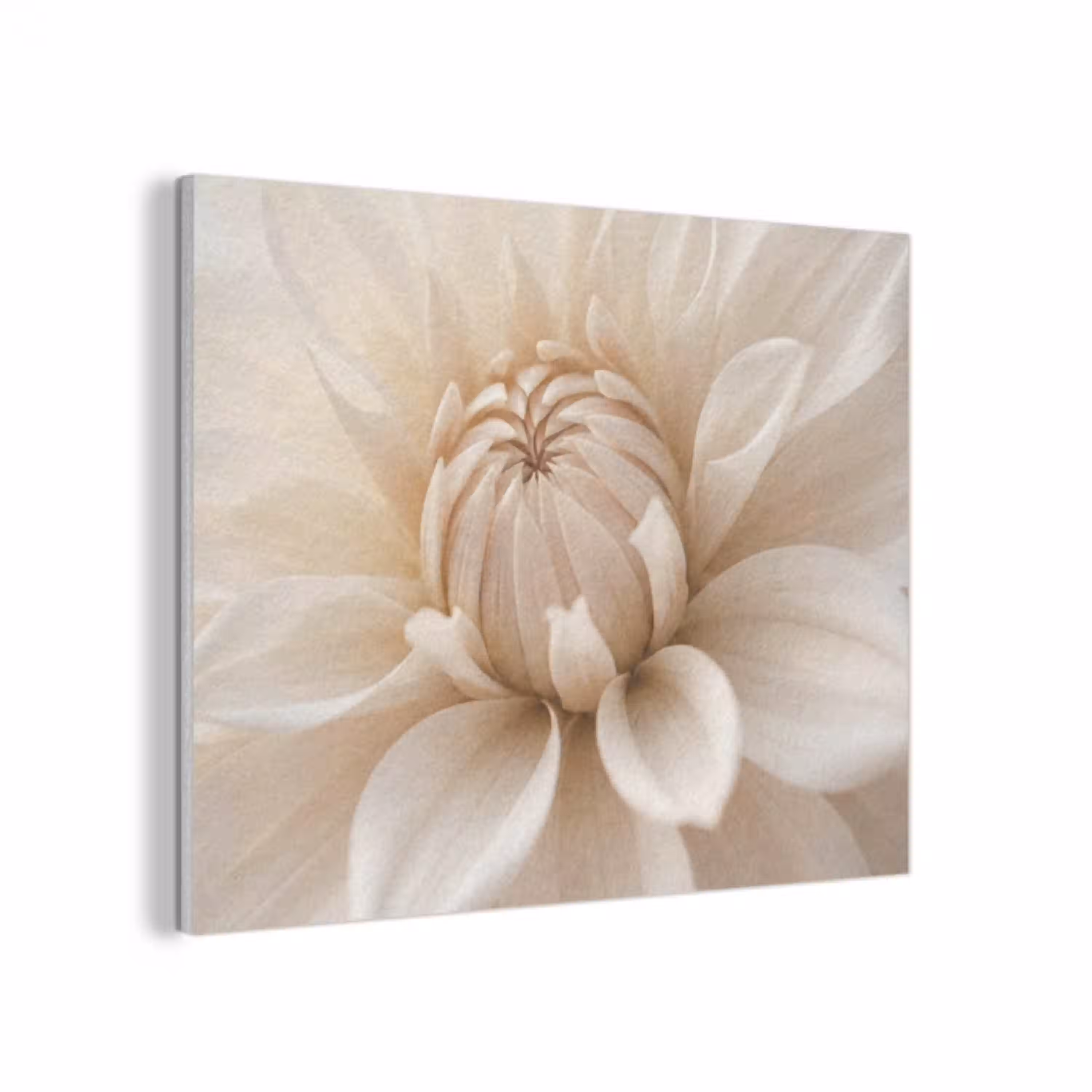 Bloem - Dahlia - Wit PET vilt klein -3d
