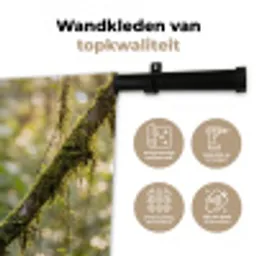 Quetzal - Jungle - Natuur - Groen Wandkleed katoen middel -sfeer2