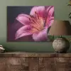 Roze - lelie - Dauwdruppels PET vilt klein -sfeer2