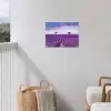 Lavendel - Natuur - Paars - Bomen - Bloemen tuinposter los doek klein -sfeer8