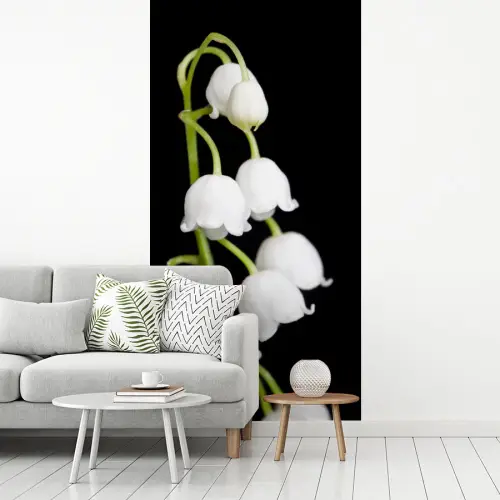 Lelietjes van dalen - Bloemen - Zwart - Flora fotobehang vinyl groot -woonkamer