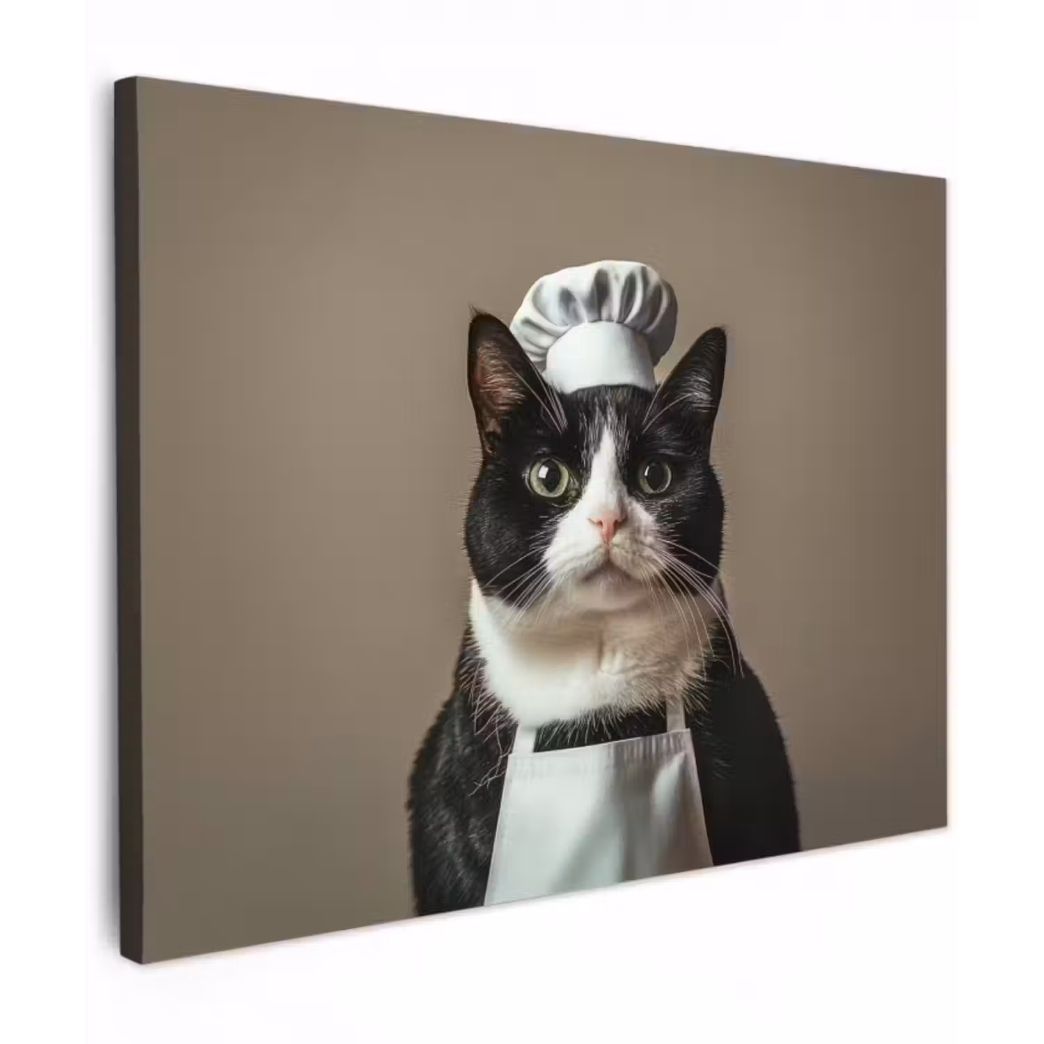 Leinwandbild - Katze - Kochkleidung - Schwarz - Weiß