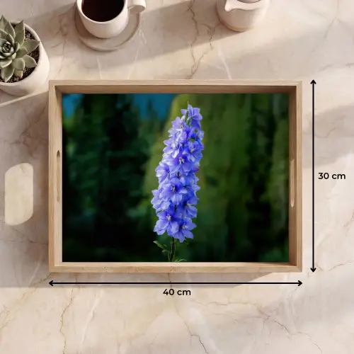 Bloemen - Blauw - Dennenboom Dienblad Rechthoek middel -USP_Formaat