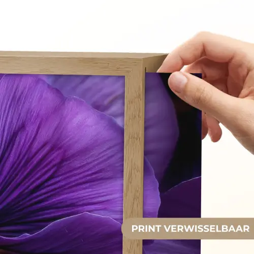 Paars - Viool - Diepte Light Box met batterij (Wandlamp) middel -USP_websiteprintNL