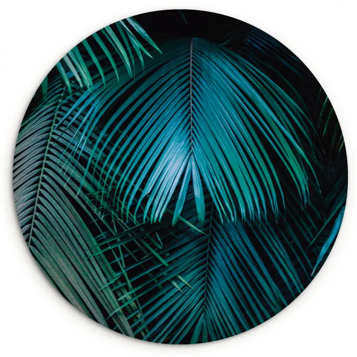 Palmblad - Tropisch - Natuur - Jungle Wandcirkel plexiglas klein -3d