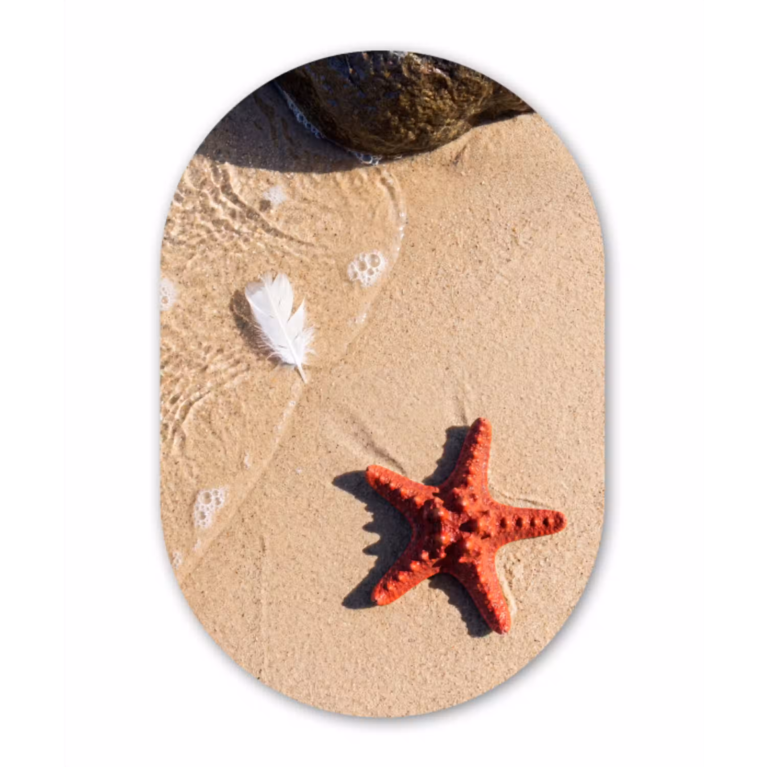 Dieren - Strand - Zee - Natuur - Rood Wandcirkel Ovaal Aluminium middel -3d