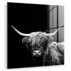 Schotse Hooglander - Koe - Zwart - Wit - Dieren plexiglas 5mm klein -zzzproduct_nieuw