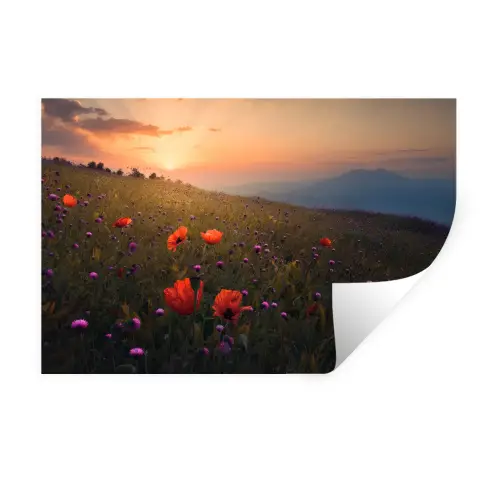 Bloemenveld - Gras - Bloemen - Planten - Zonsondergang - Oranje Muursticker klein -3d