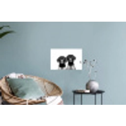 Honden - Bivakmuts - Zwart - wit Muursticker klein -plant