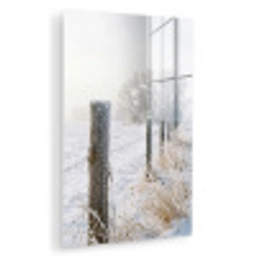 Hek - Sneeuw - Mist - Platteland - Nostalgisch plexiglas 5mm klein -zzzproduct_nieuw
