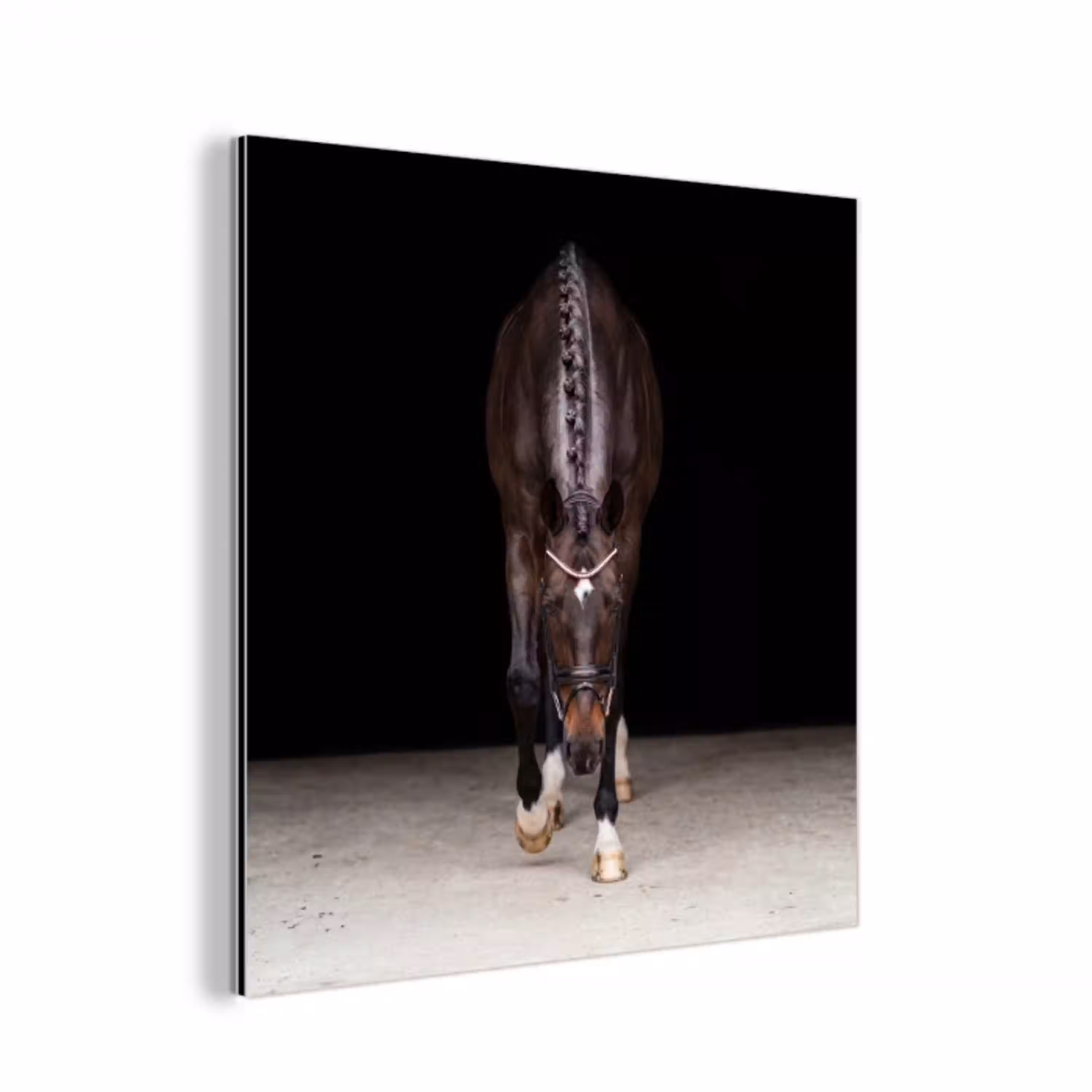 Paard - Modern - Portret aluminium wit klein -3d