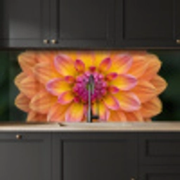 Dahlia - Bloem - Oranje keuken achterwand 2 middel -sfeer1