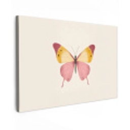 Vlinder - Illustratie - Roze Tuinposter op houten frame 2 cm dik klein -3d