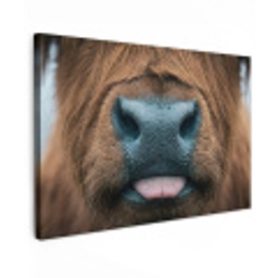 Schotse hooglander - Neus - Bruin Tuinposter op houten frame 2 cm dik klein -3d