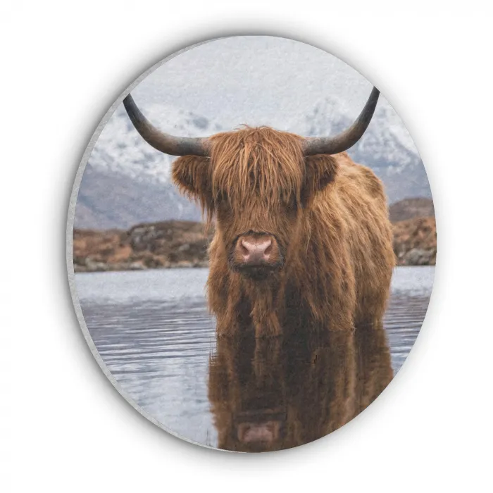 Schotse hooglander - Bruin - Water Akoestische PET Vilt - Rond klein -3d