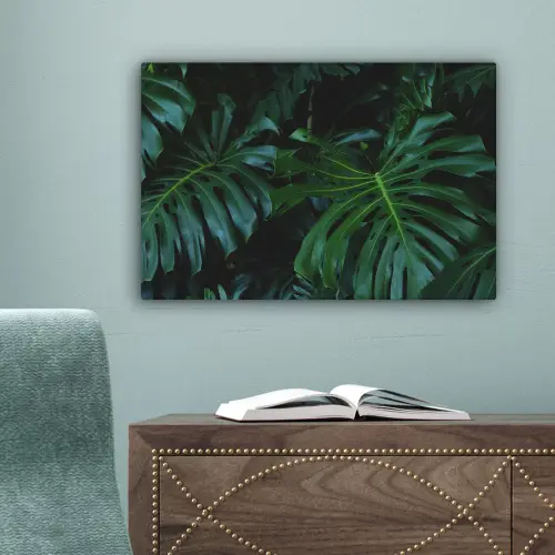 Monstera - Bladeren - Tropisch - Jungle canvas 2cm klein -sfeer4