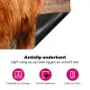 Blik van de Rustieke Reus Inductie beschermer vinyl 3mm klein -wsfeer4_website