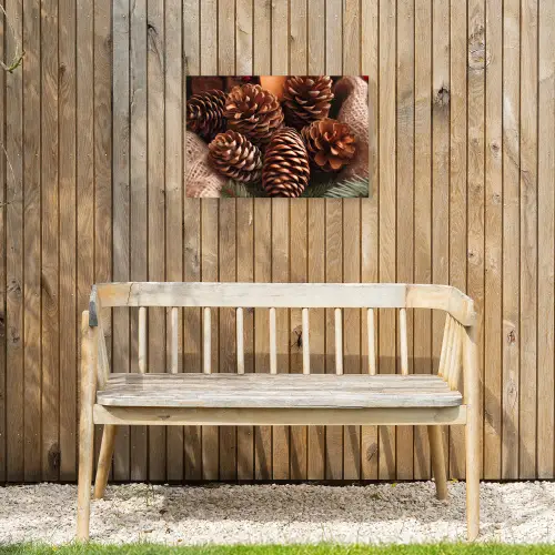 Dennenappels - Boom - Winter - Natuur - Bruin Tuinposter op houten frame 2 cm dik klein -sfeer4