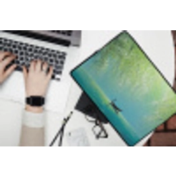 Bootje - Water - Bladeren - Bloesems laptophoes neopreen klein -bureau