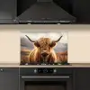 Schotse hooglander - Landschap - Dier keuken achterwand spatscherm klein -sfeer1