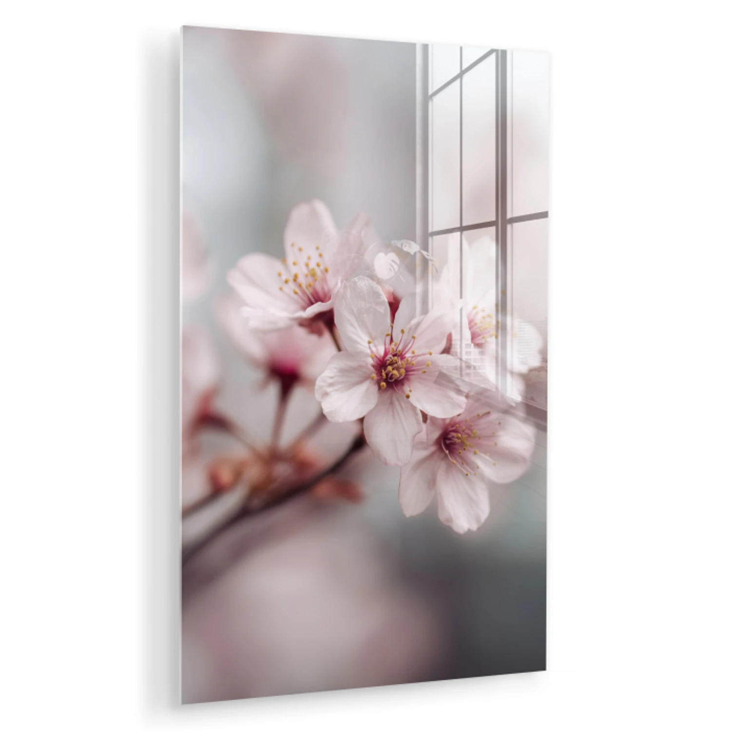 Bloesems - Meeldraden - Geel - Wazig plexiglas 5mm klein -zzzproduct_nieuw