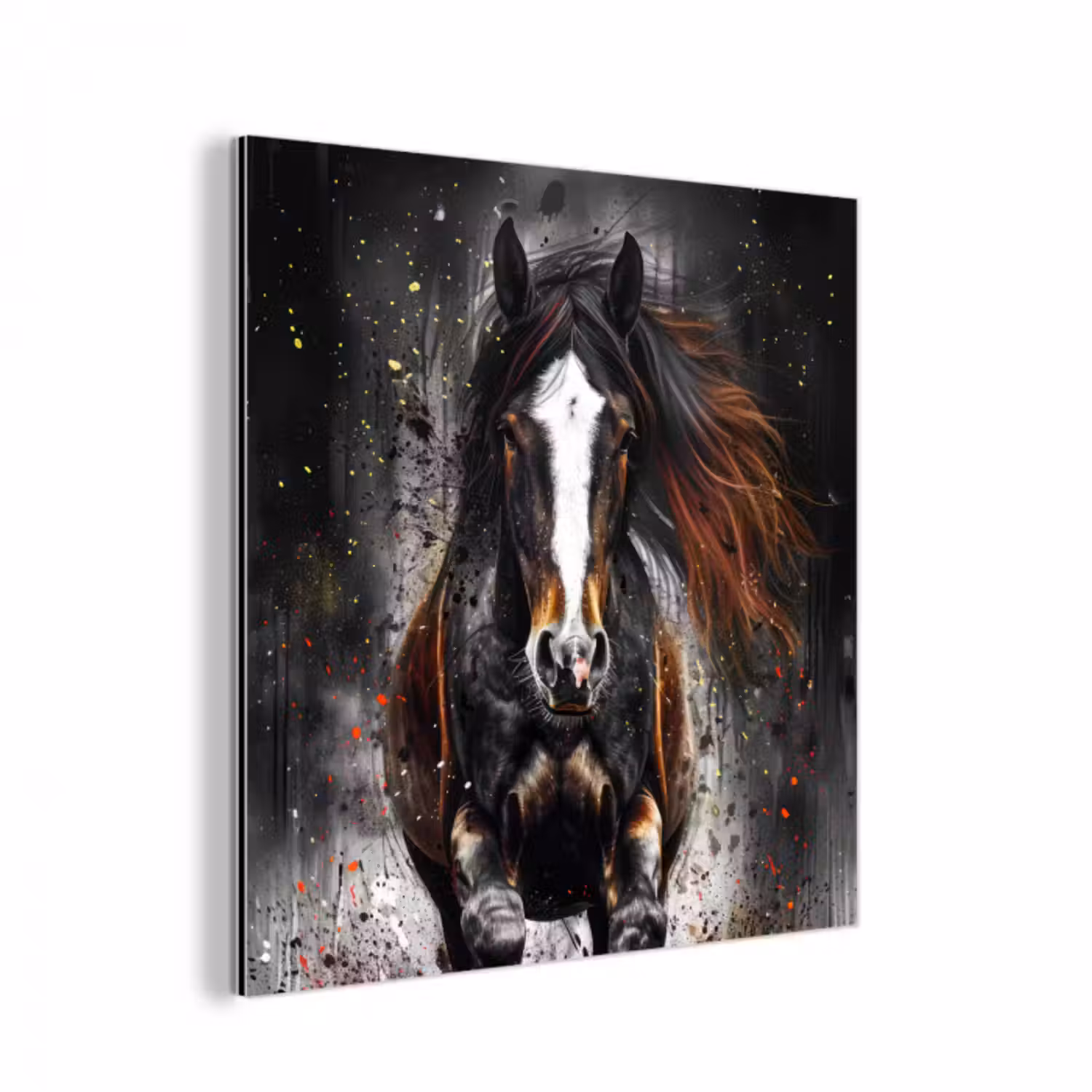 Alu-Dibond-Bild - Pferd - Tiere - Schwarz - Luxus - Modern
