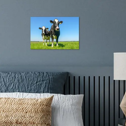 Koeien - Weiland - Gras - Dieren - Boerderij poster papier klein -sfeer2