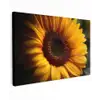 Geel - Zonnebloem - Zomers canvas 2cm klein -z3d