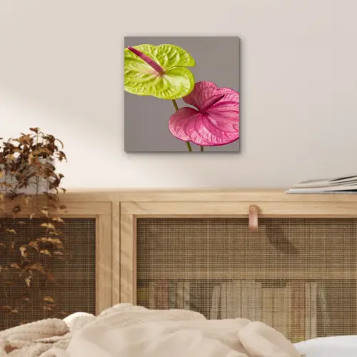 Planten - Anthurium - Groen - Roze aluminium wit klein -sfeer3