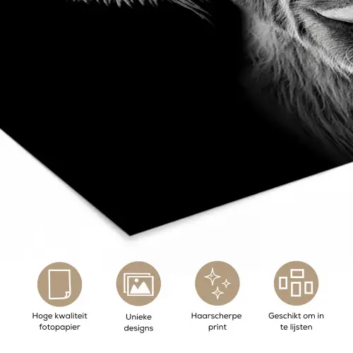 Schotse Hooglander - Horens - Zwart - Wit - Koe - Wild - Dieren poster papier klein -closeup_NL