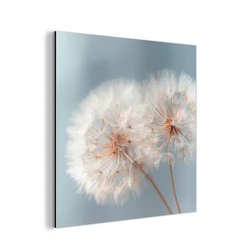 Paardenbloemen - Pluisjes - Wit aluminium wit klein -3d