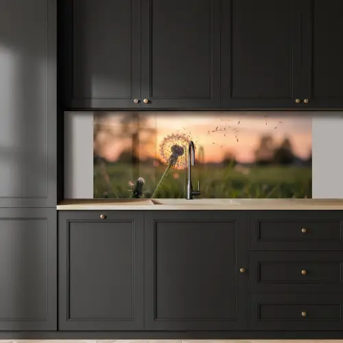 Paardenbloem - Zonsondergang - Veld keuken achterwand 2 middel -sfeer1