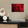 Rood - Roos - Romantisch poster papier klein -sfeer1