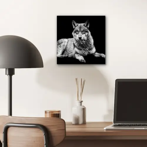 Wilde dieren - Wolf - Zwart - Wit aluminium wit klein -sfeer5