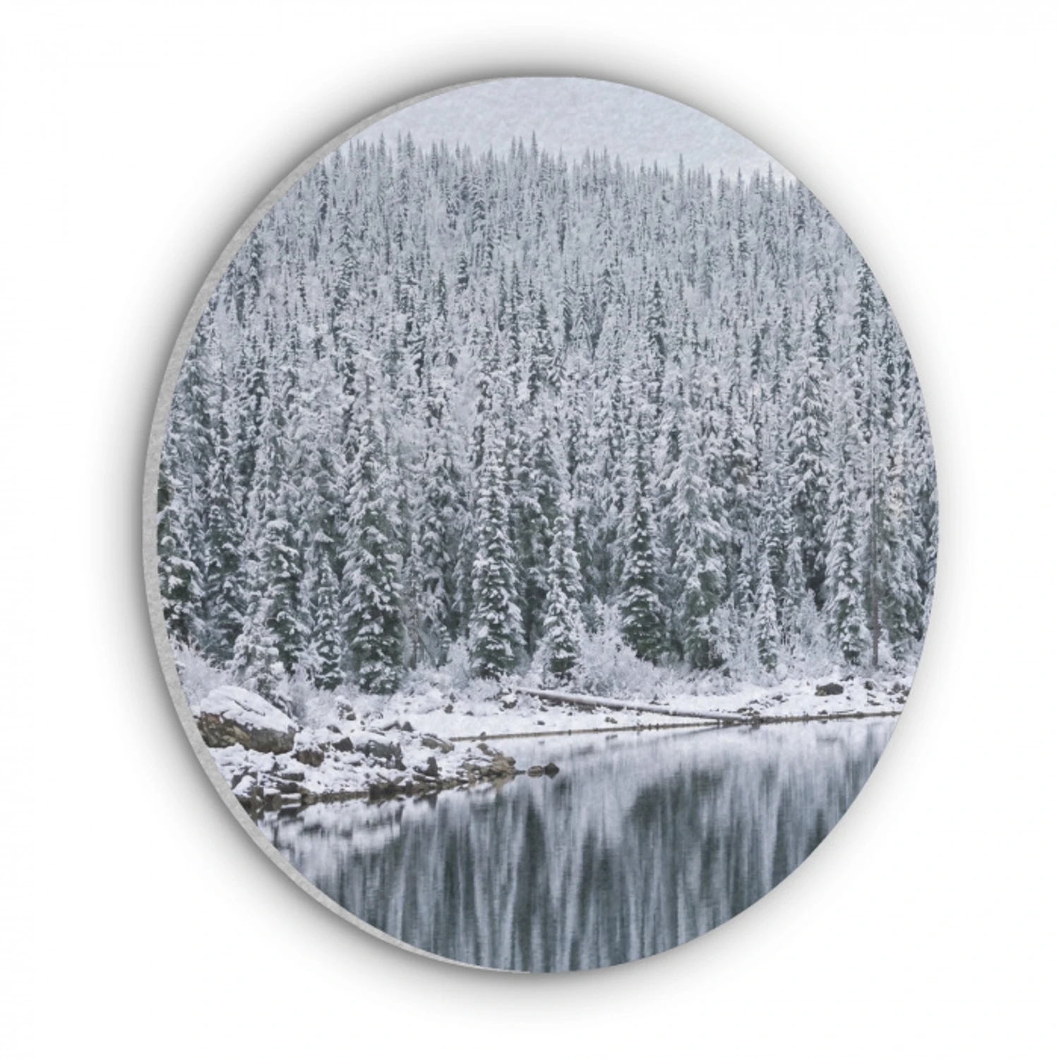 Bos - Reflectie - Meer - Winter - Serene Akoestische PET Vilt - Rond klein -3d