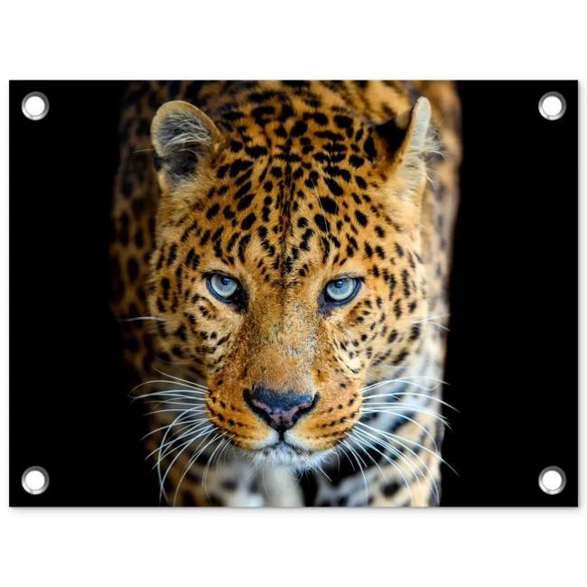 Intens portret van een luipaard tuinposter los doek klein -3d
